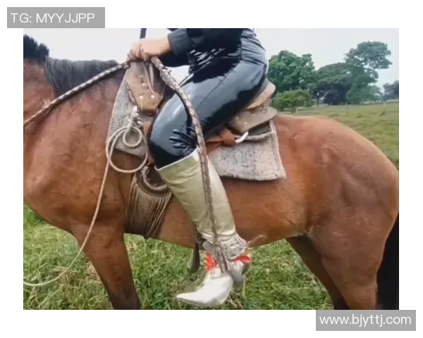伯顿与女王训游的精彩对决揭示了骑马运动的魅力与挑战